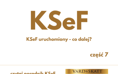 Uruchomienie KSeF – co dalej?